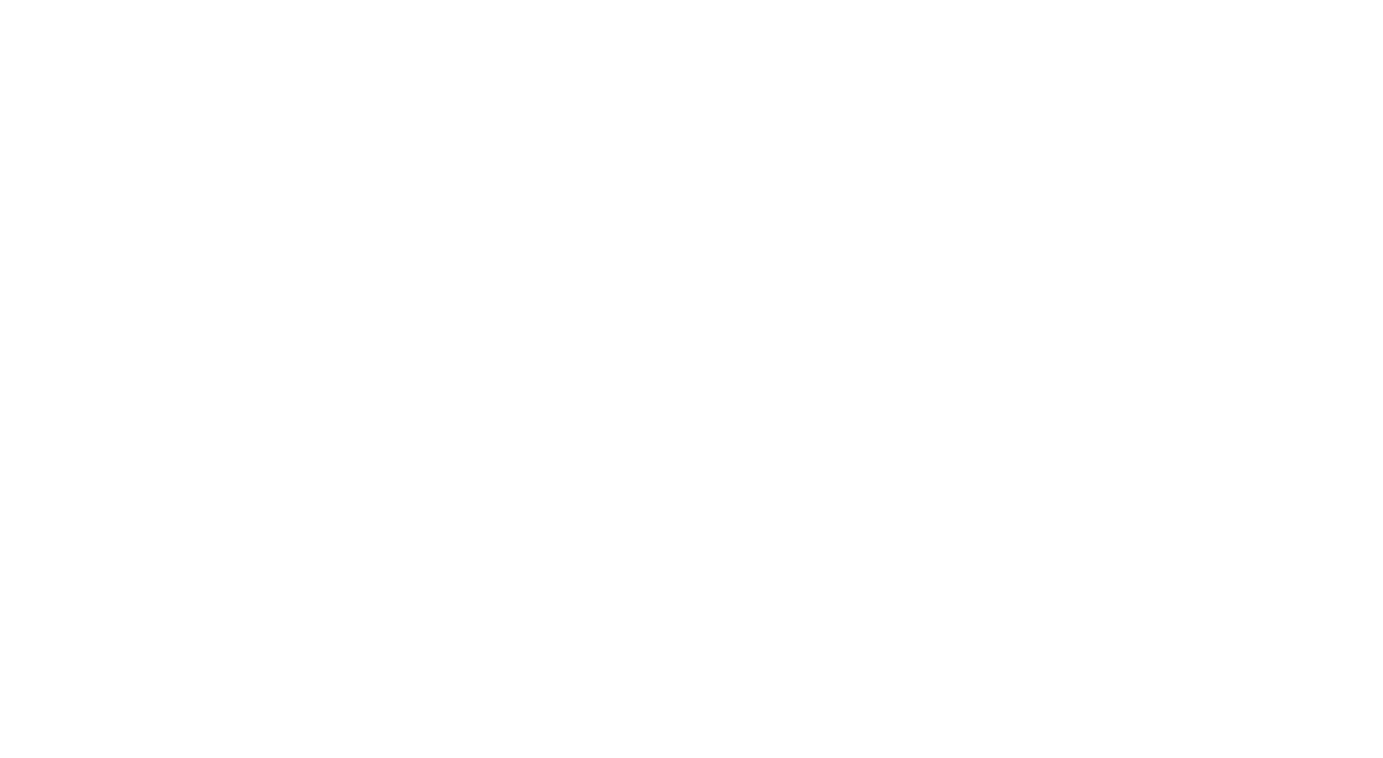 duck Marketing Services